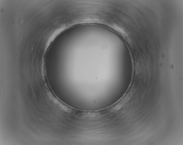 X0000074231374200609011231