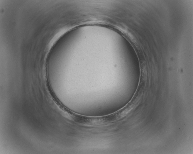 X0000074231375200609011231