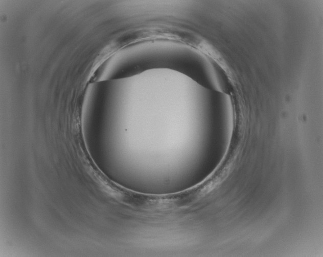 X0000074231377200609011231