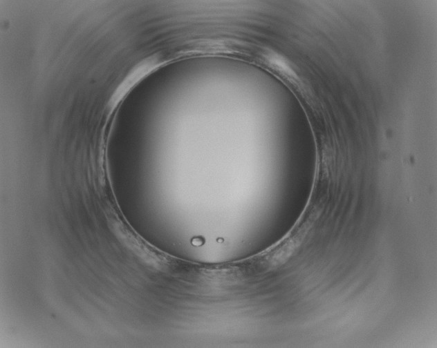 X0000074231378200609011231