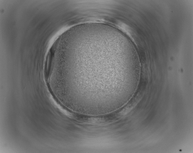 X0000074231379200609011231