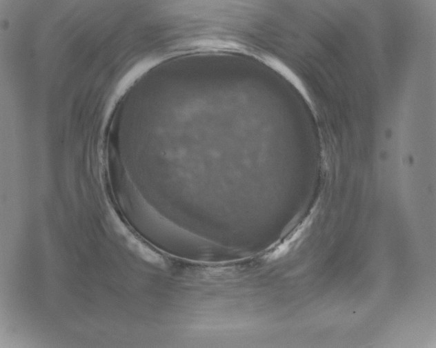 X0000074231381200609011231