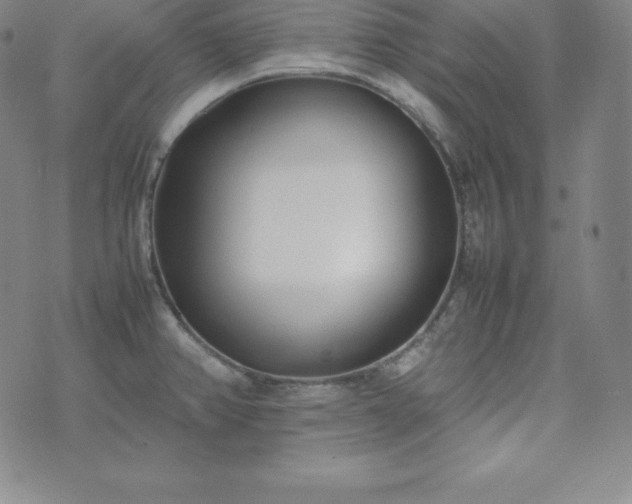 X0000074231382200609011231