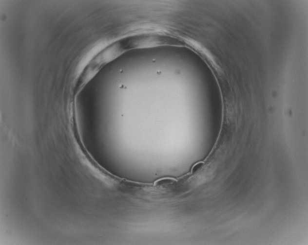 X0000074231383200609011231