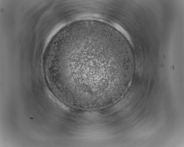 X0000074231384200609011231