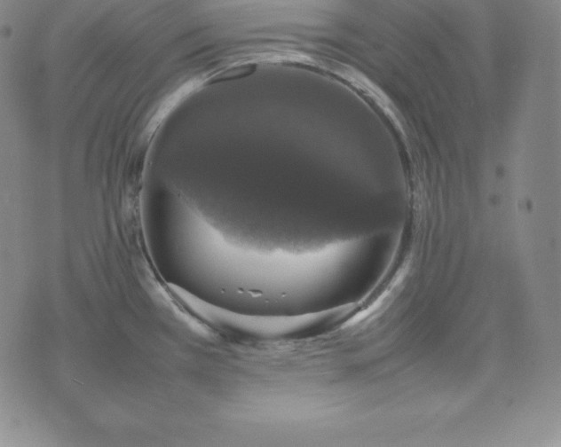 X0000074231385200609011231