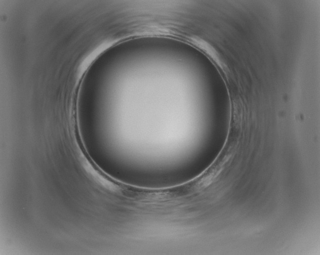 X0000074231387200609011231