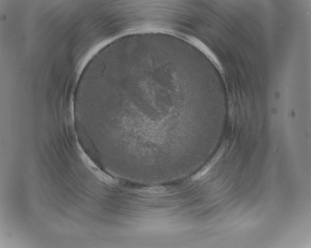 X0000074231388200609011231