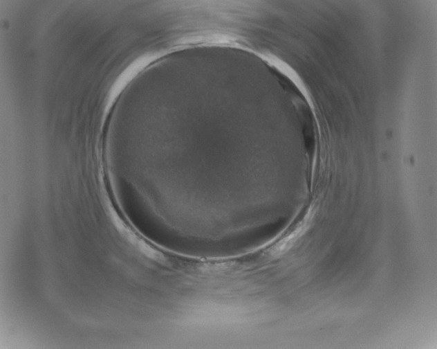 X0000074231389200609011231