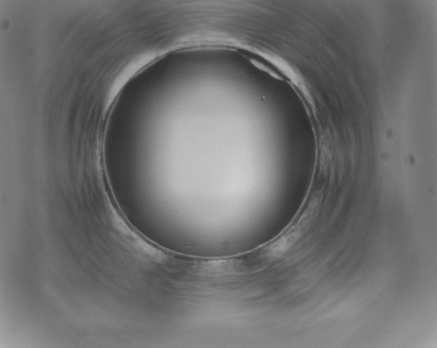 X0000074231390200609011231