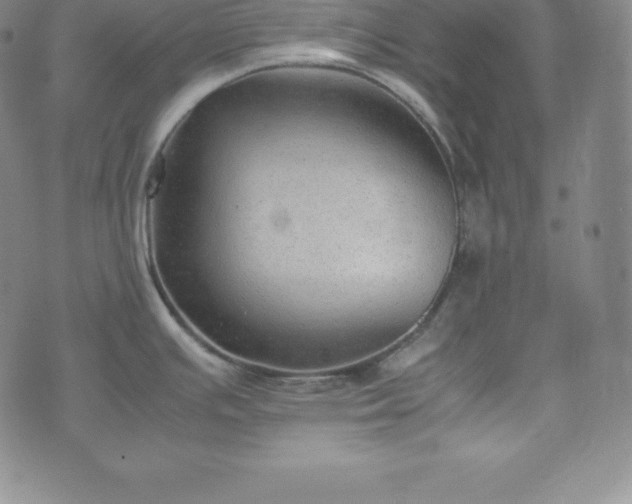 X0000074231391200609011231