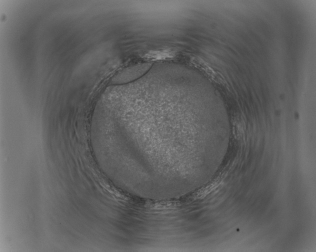 X0000074231393200609011230