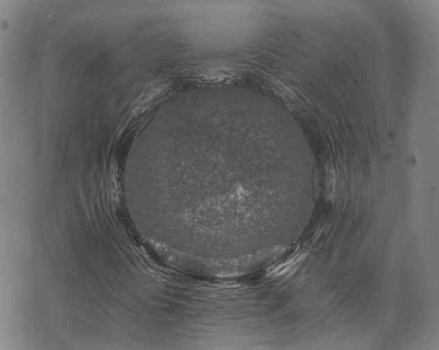 X0000074231394200609011230