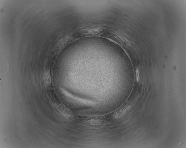 X0000074231395200609011230