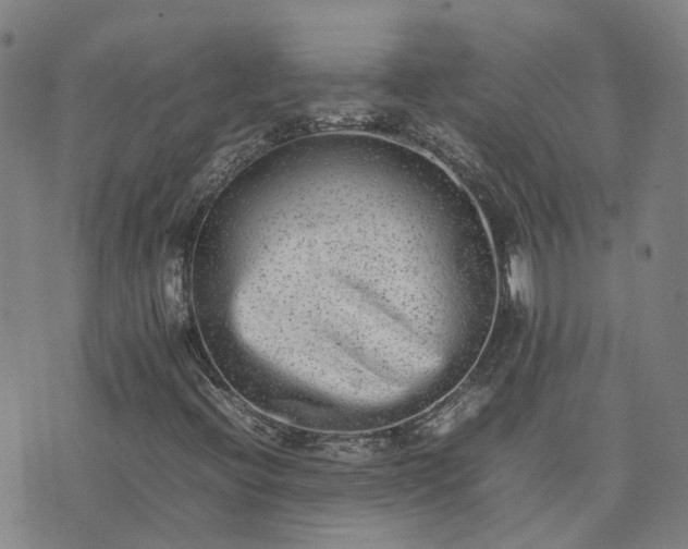 X0000074231396200609011230