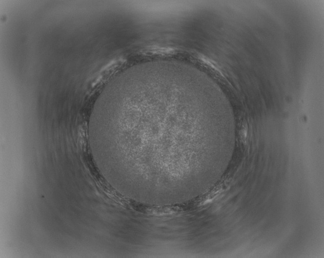 X0000074231397200609011230