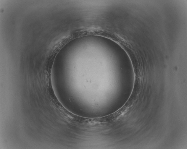 X0000074231398200609011230