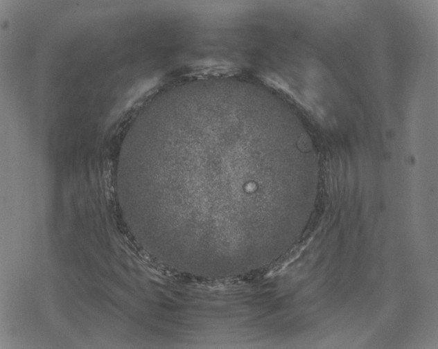 X0000074231399200609011230