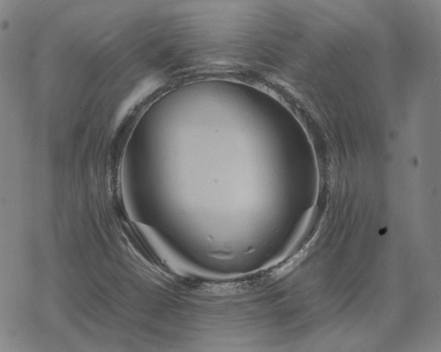 X0000074231402200609011230