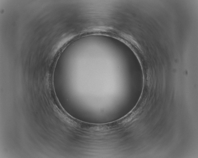 X0000074231404200609011230