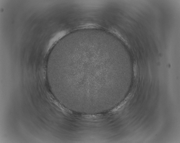 X0000074231405200609011230