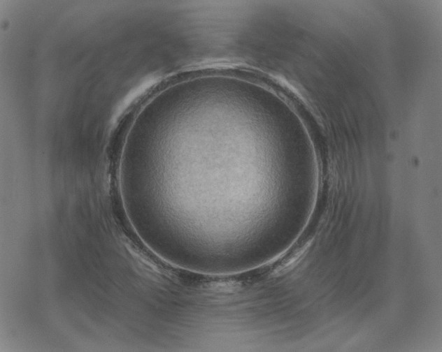 X0000074231406200609011230