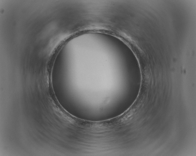 X0000074231408200609011230