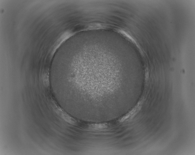 X0000074231409200609011230