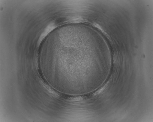 X0000074231410200609011230