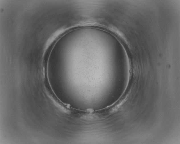 X0000074231414200609011230