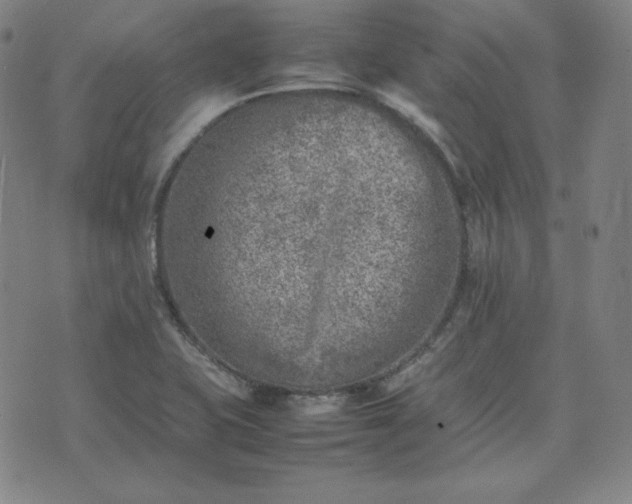 X0000074231415200609011230