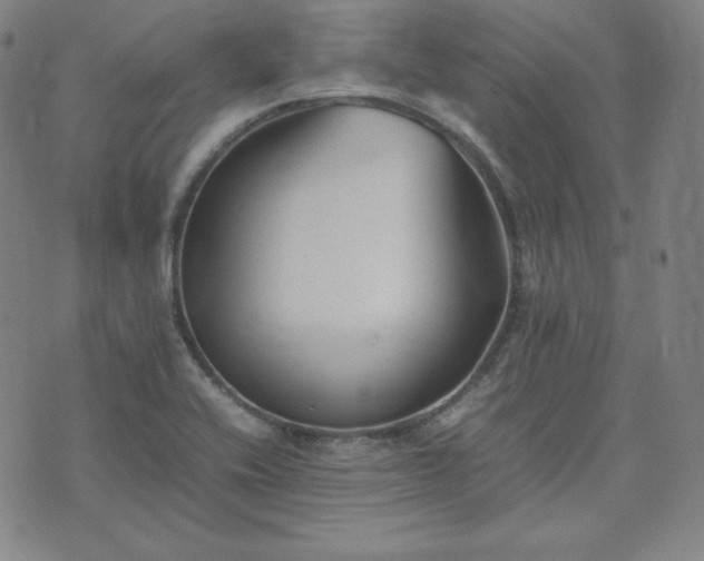 X0000074231416200609011230