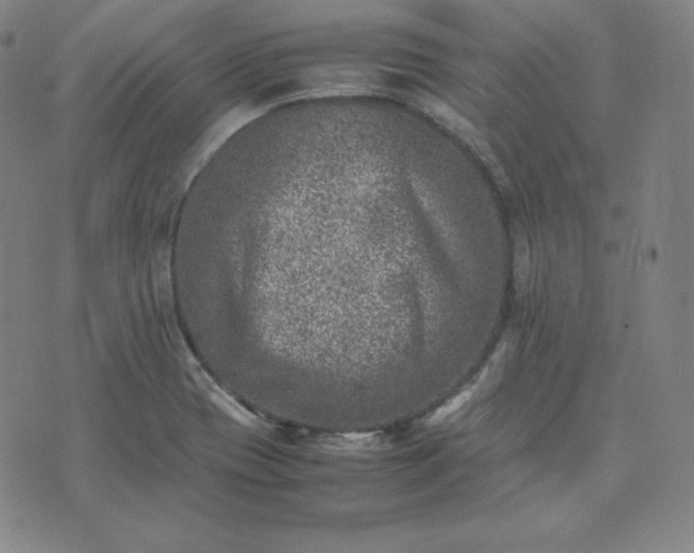 X0000074231417200609011230