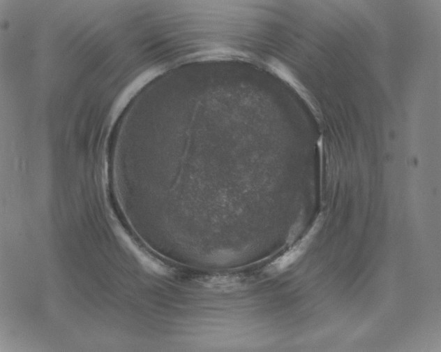 X0000074231418200609011230