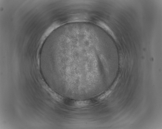 X0000074231419200609011230