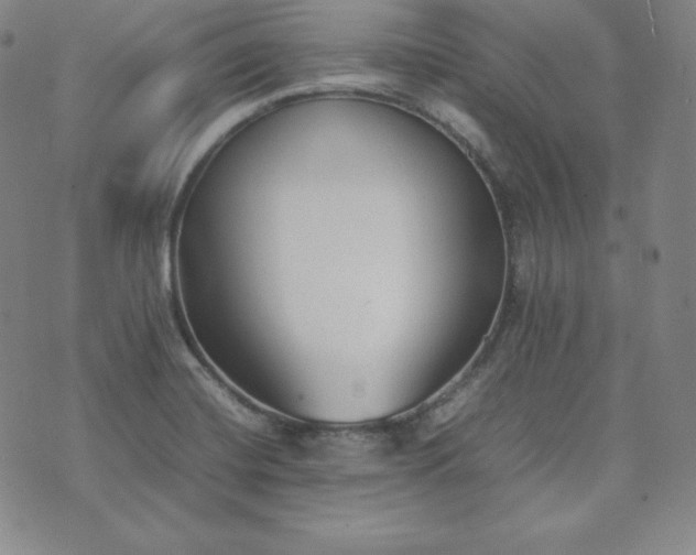 X0000074231420200609011230