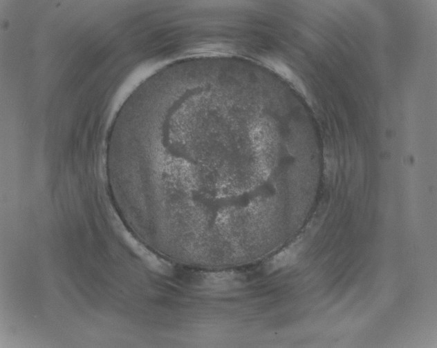 X0000074231421200609011230