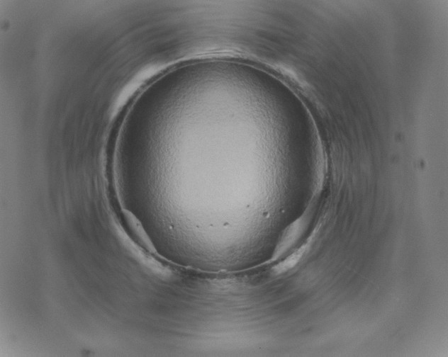 X0000074231422200609011230