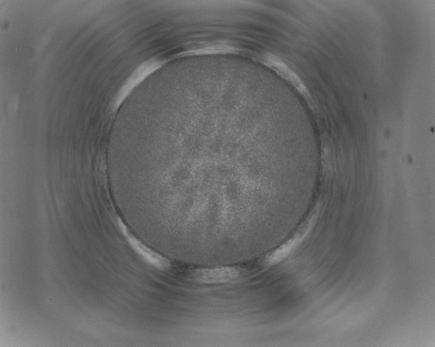 X0000074231425200609011230