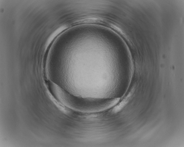 X0000074231426200609011230