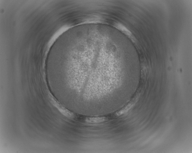 X0000074231427200609011230