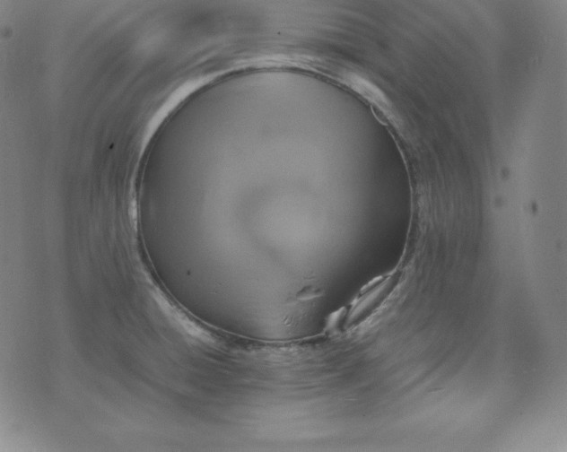 X0000074231428200609011230