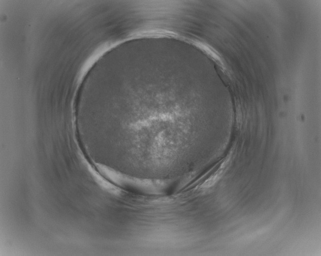 X0000074231430200609011231