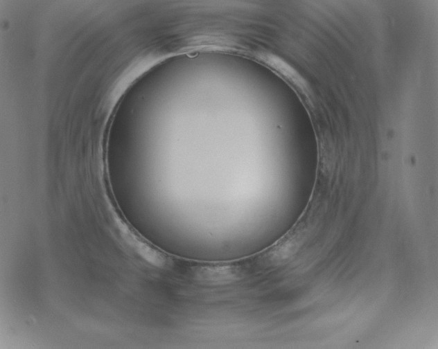 X0000074231431200609011231