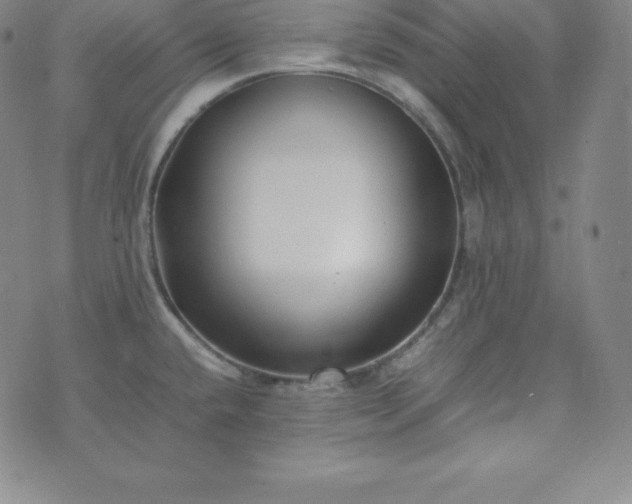 X0000074231432200609011231