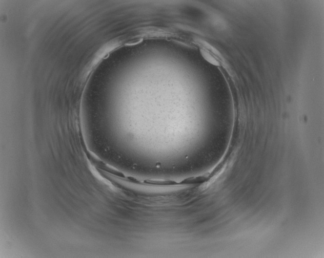 X0000074231433200609011231