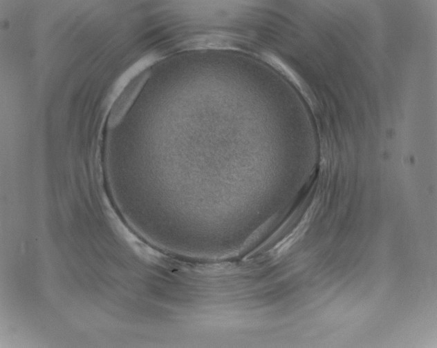 X0000074231434200609011231