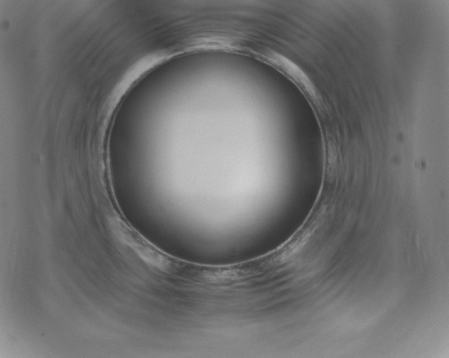 X0000074231435200609011231