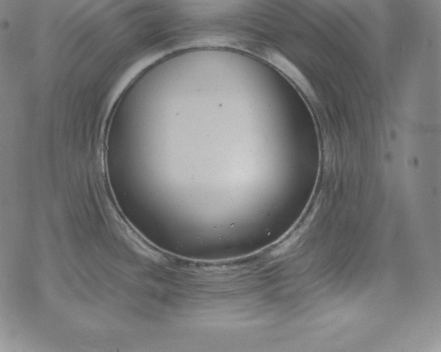 X0000074231436200609011231