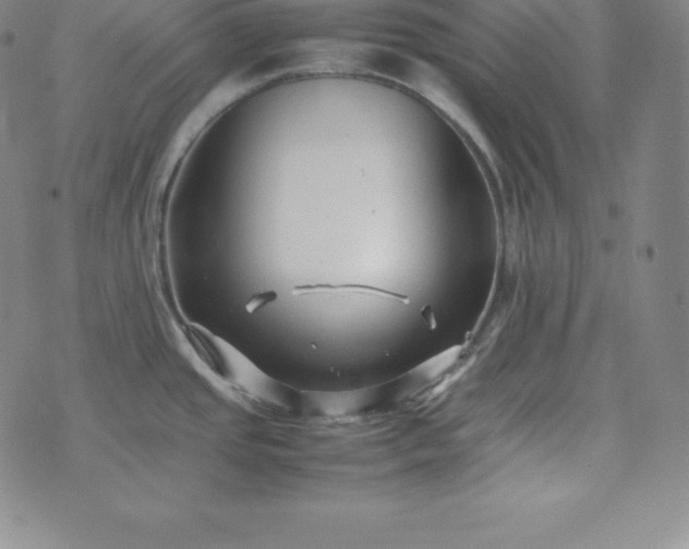 X0000074231437200609011231